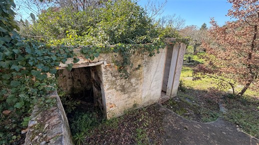 Corpo Di Trulli Con Fabbricati